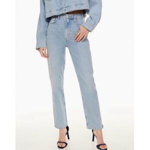 Agolde High Rise Stovepipe Jeans in Destination